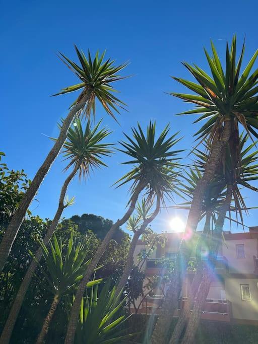 L'appart Ideal Famille, Terrasse, Piscine, * Villeneuve-Loubet